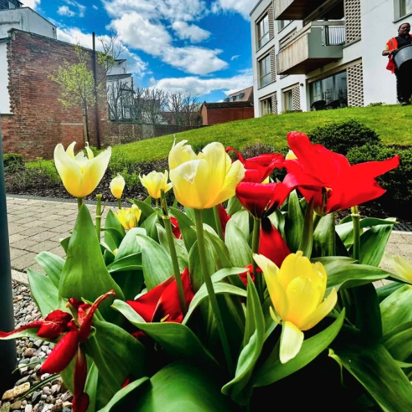 Kingsdown Ground Maintenance Gallery