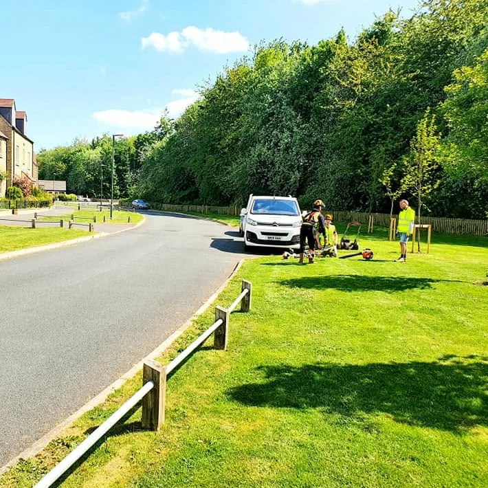 Planned Lawn Care for Beautiful Communal Green Spaces