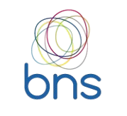 BNS Logo